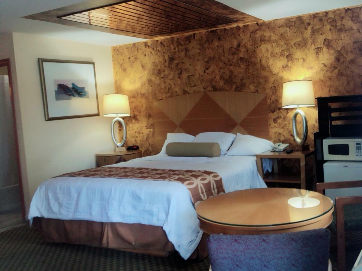 Sunflower Inn 加洛韦 外观 照片